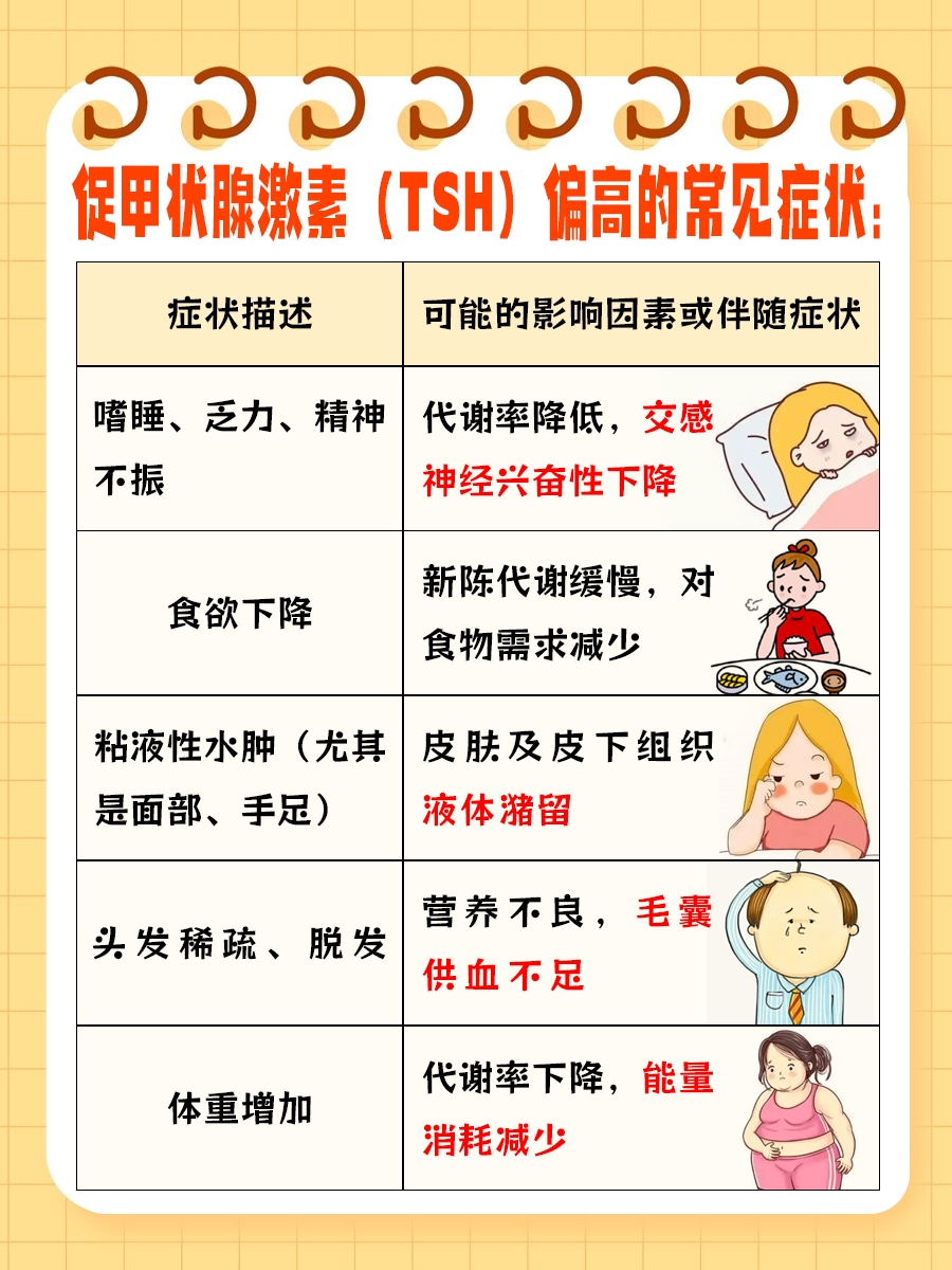 T3、T4正常，但促甲状腺激素偏高？