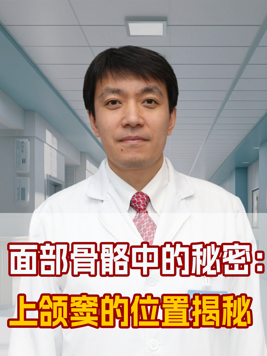 面部骨骼中的秘密：上颌窦的位置揭秘