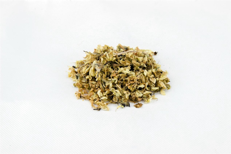 槐花草药图 槐花草药图