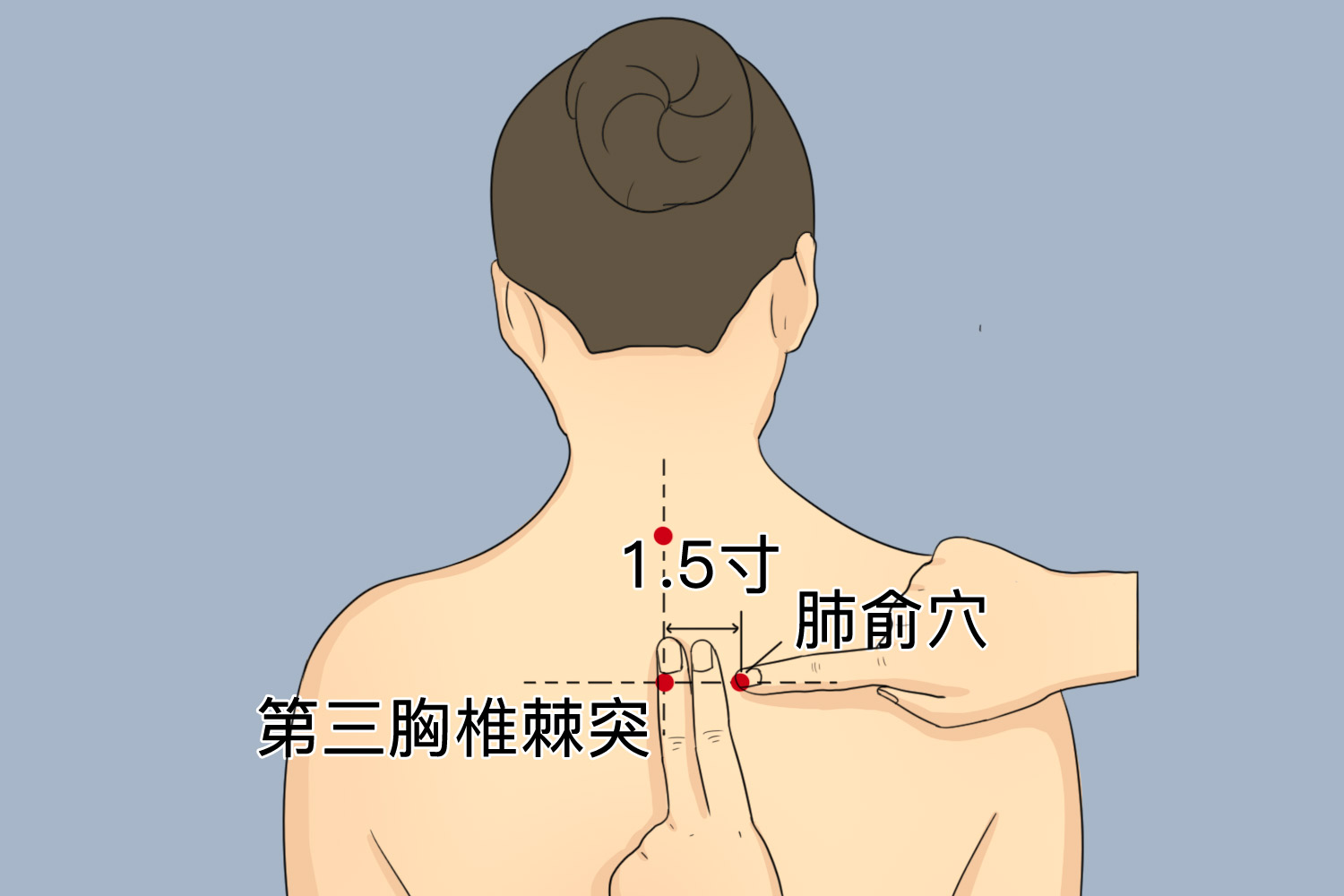 肺俞的准确位置图片图图片