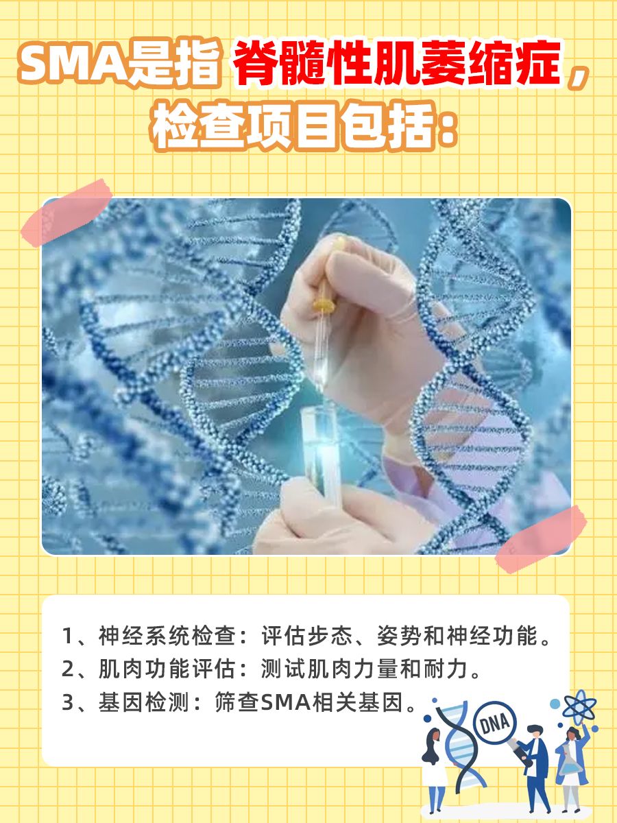 分享｜SMA检查是啥？一文教你读懂！