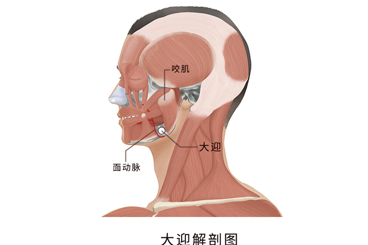 大迎准确位置图