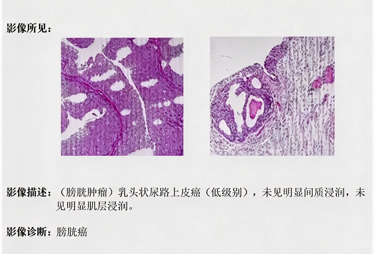 微信图片_2026-10-30_175729_594.jpg