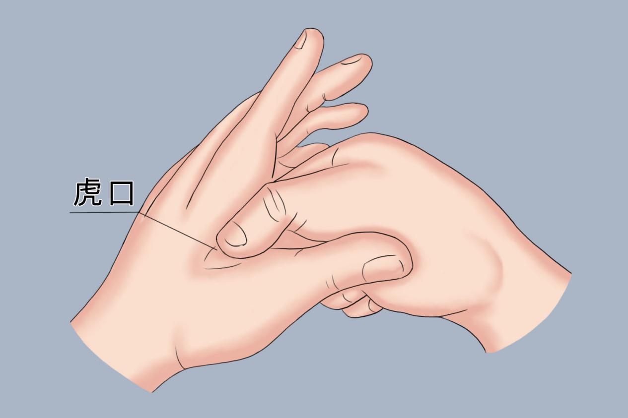 虎口与虎口穴位置图