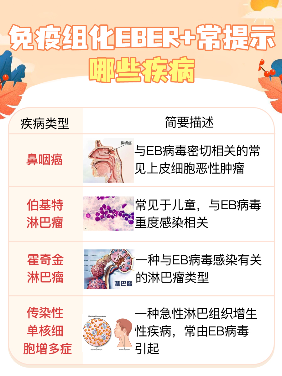 免疫组化EBER+:体内EB病毒感染的信号