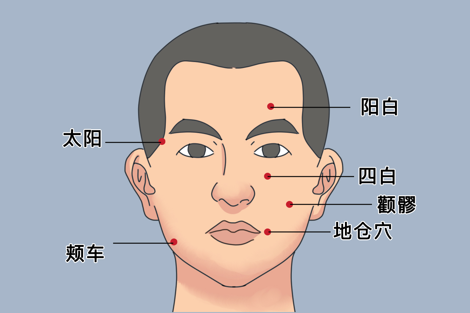 面瘫针灸穴位参考图