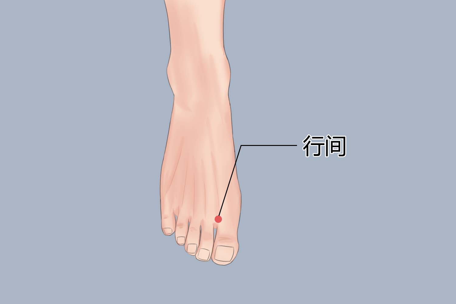 行间的准确位置图