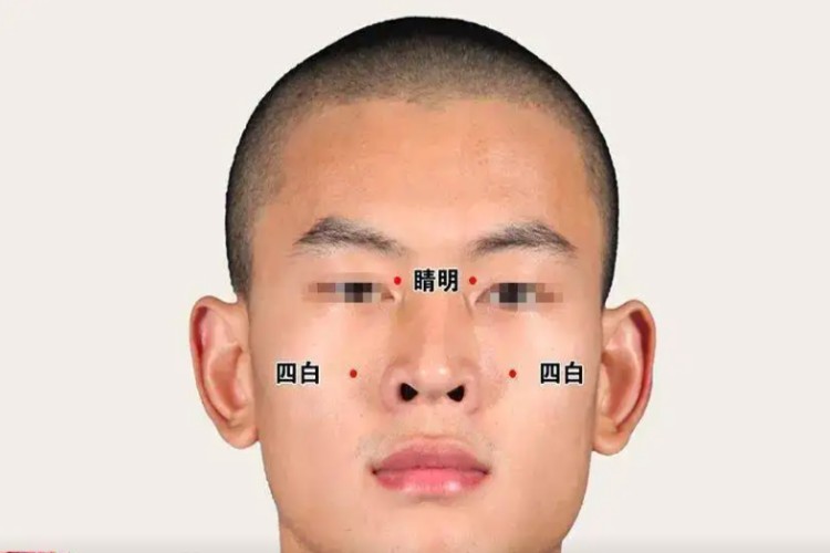 四白穴位置图