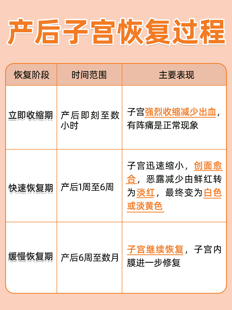 产后子宫恢复过程图