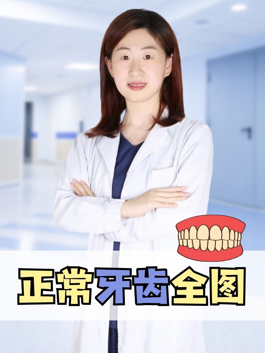 正常牙齿全图