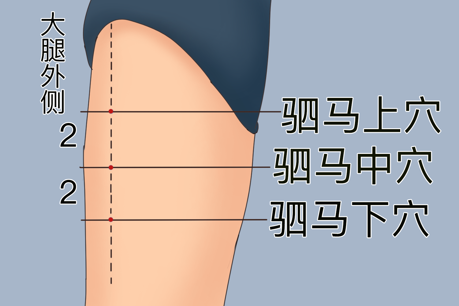 足驷马穴位置图