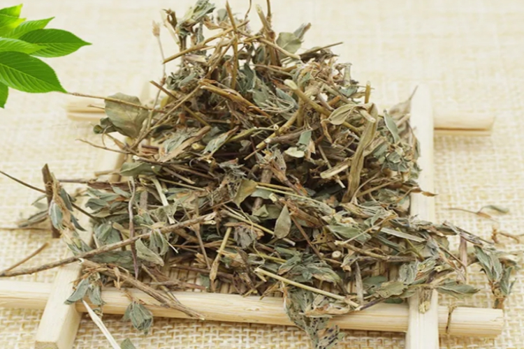 蚂蚁草药材外观图