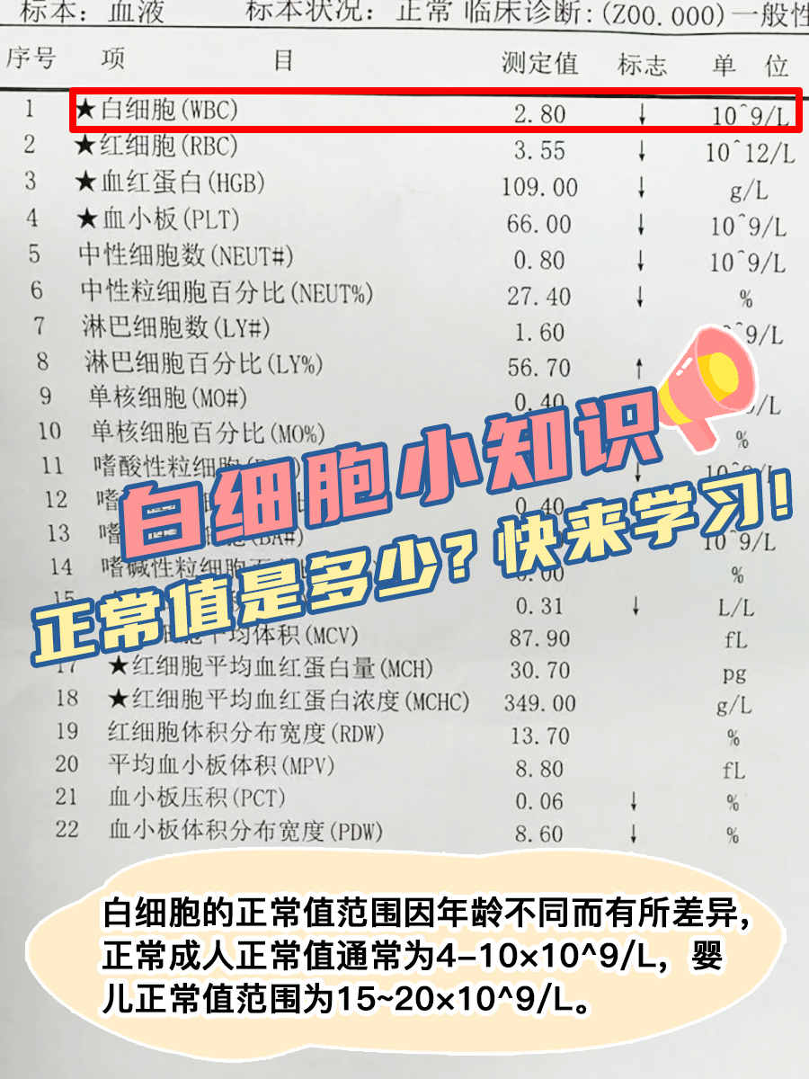 白细胞小知识:正常值是多少?快来学习!