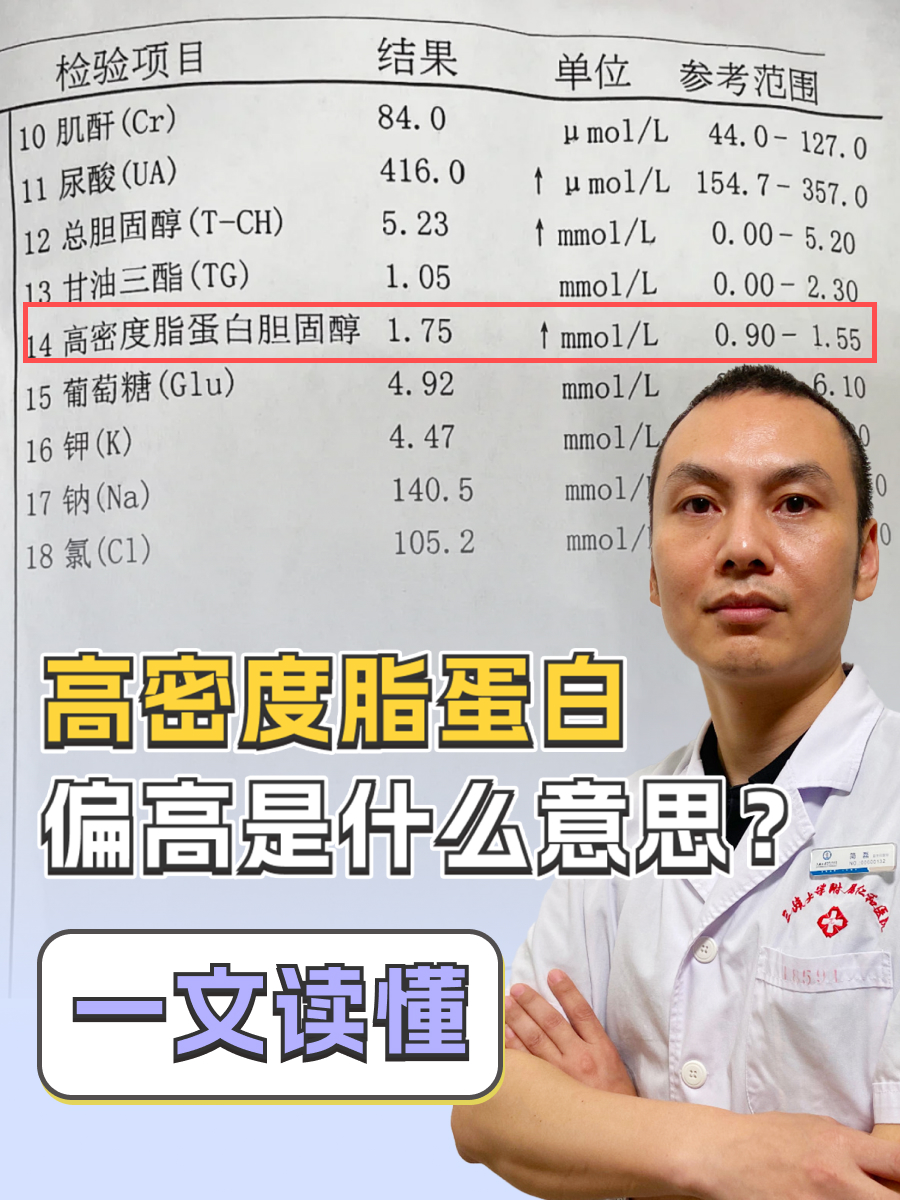 高密度脂蛋白偏高是什么意思?一文读懂!