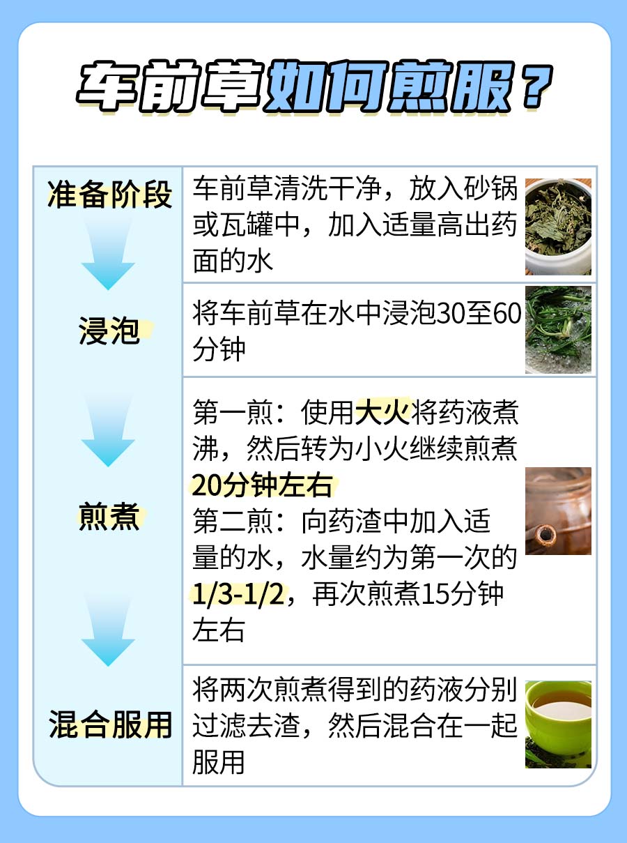 北美车前草VS车前草，功效一样吗？