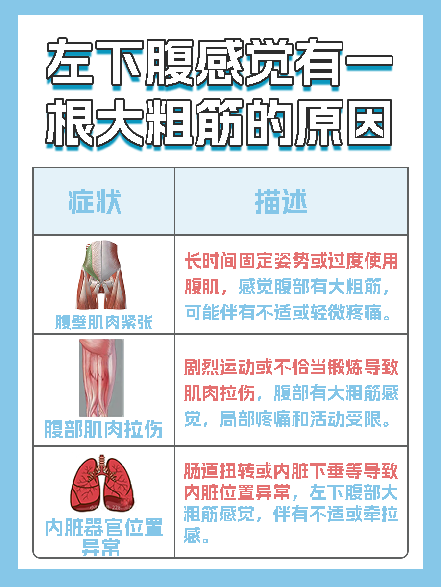 左下腹大粗筋感觉解析:关注身体健康信号