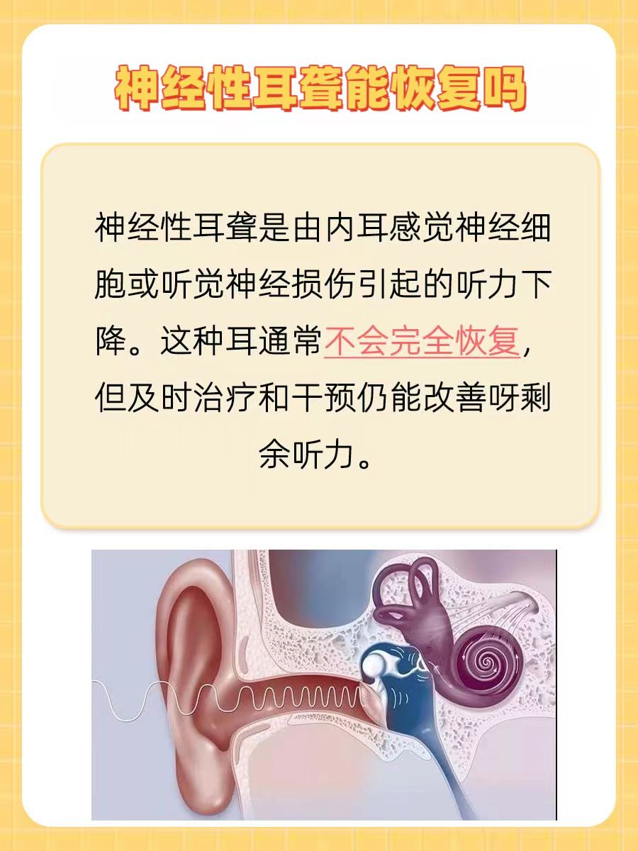 神经性耳聋能恢复吗?探究恢复的可能性!