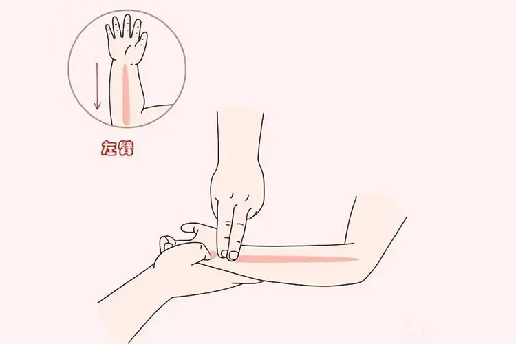 退下六腑图 退下六腑图