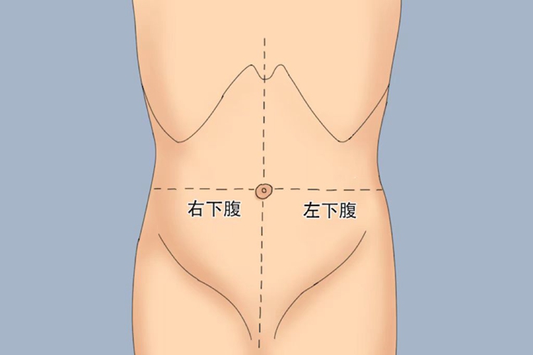 下腹位置图