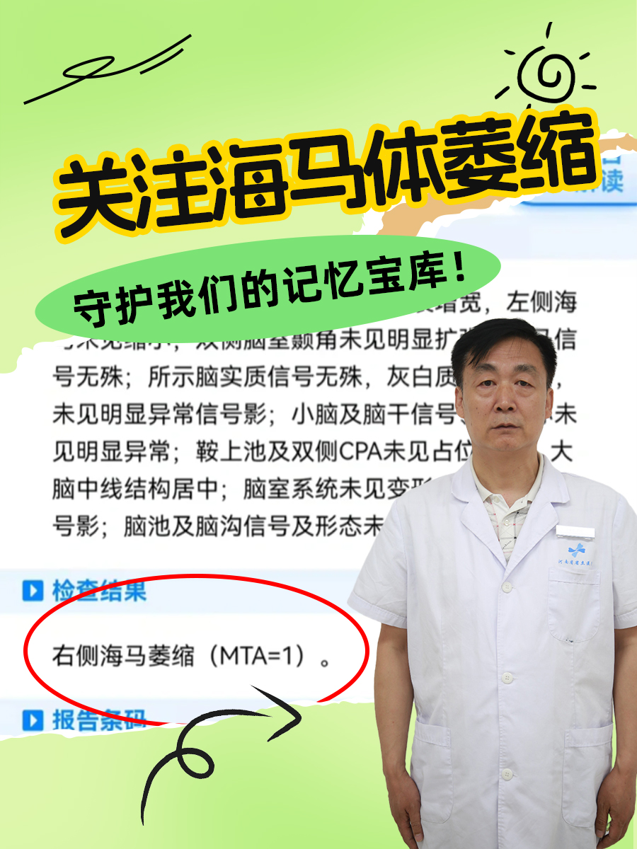关注海马体萎缩，守护我们的记忆宝库！