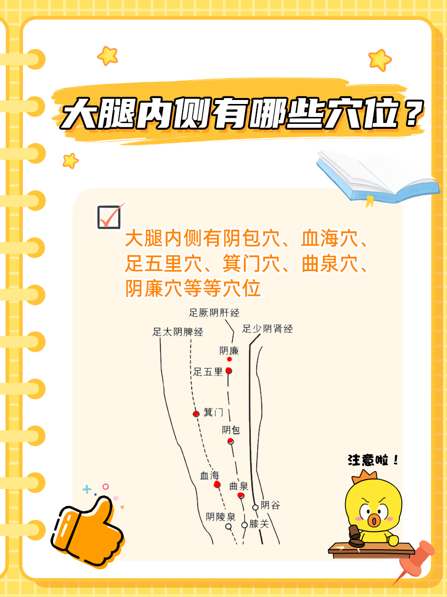 大腿内侧有哪些穴位，你知道吗？