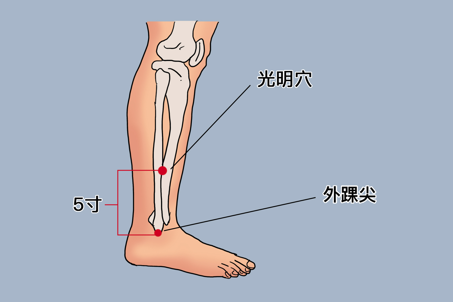 光阴穴位置图 光阴穴位置图