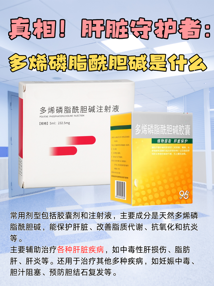 真相！肝脏守护者：多烯磷脂酰胆碱是什么
