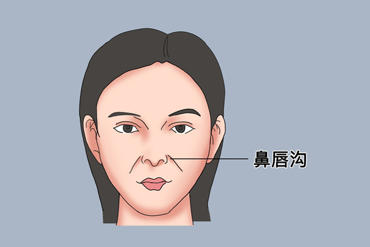 鼻唇沟位置图
