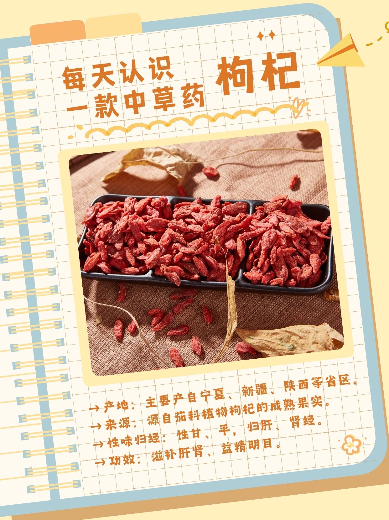 中医小知识：枸杞的功效、作用、主治，不容错过
