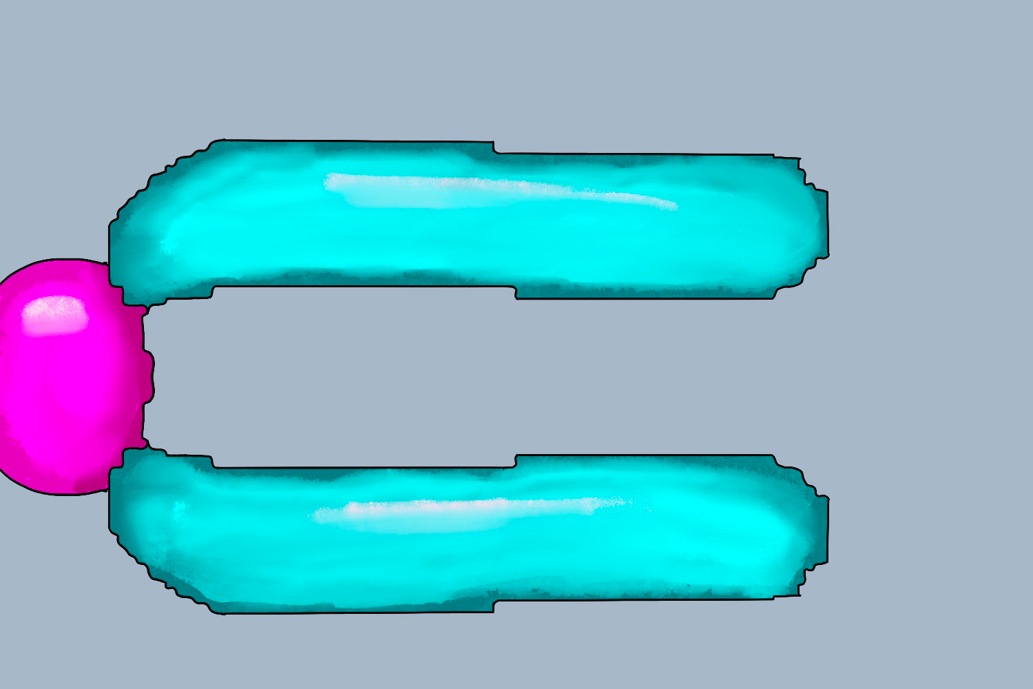 端着丝粒染色体图
