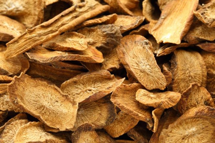 牛蒡根药材外观图