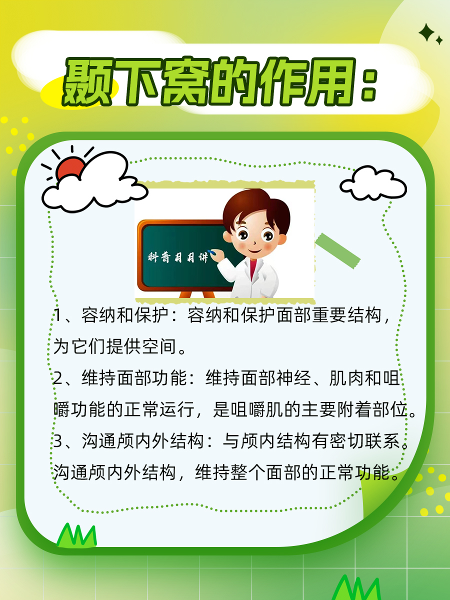 颞下窝究竟有何作用？一起来了解吧！