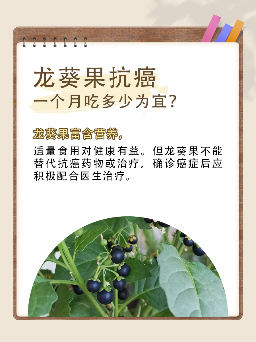 揭秘龙葵果真实效用：一个月吃多少量好