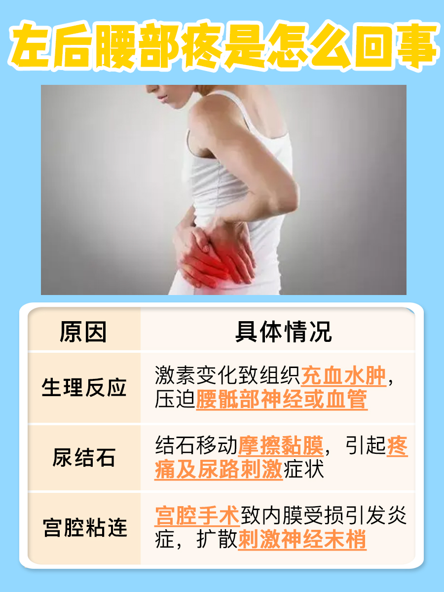 一文解析,女性左后腰部疼是怎么回事