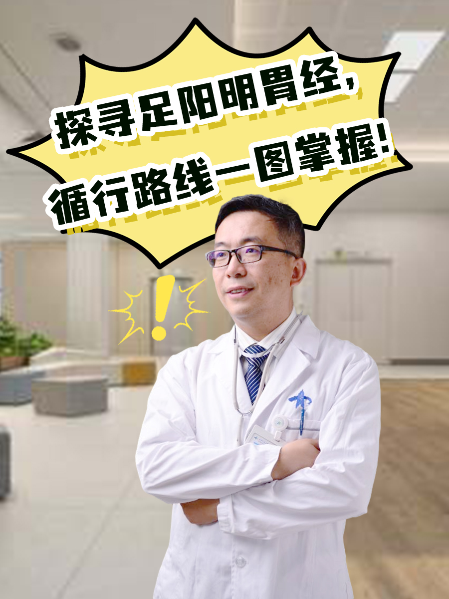 探寻足阳明胃经，循行路线一图掌握！