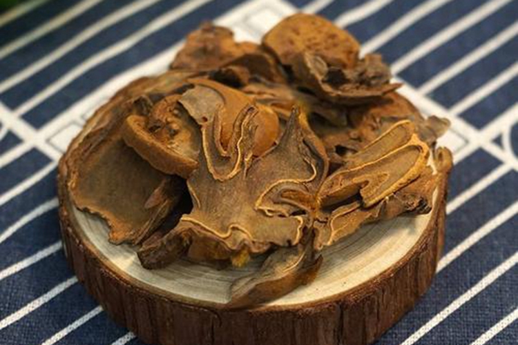 狗脊片药材图 狗脊片药材图