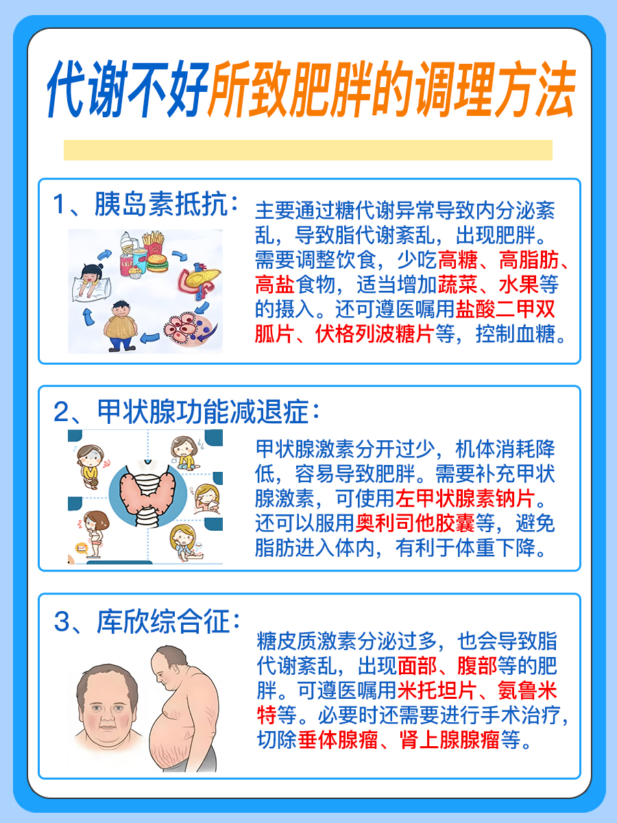 代谢不好造成的肥胖，如何进行调理？