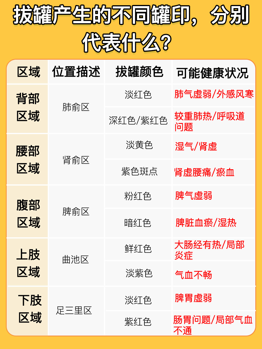 拔罐12个位置颜色对照