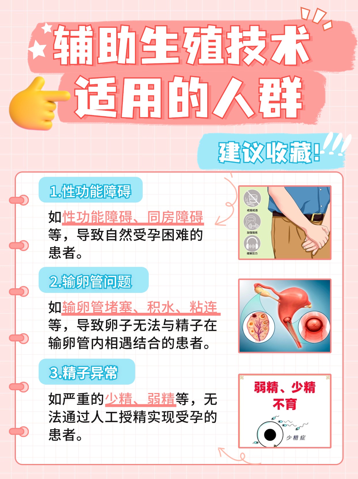 2PN胚胎是什么意思？医生告诉你答案