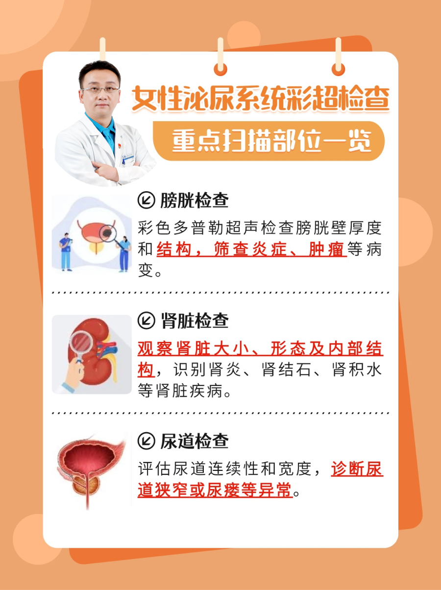 女性泌尿系统彩超检查，重点扫描部位一览