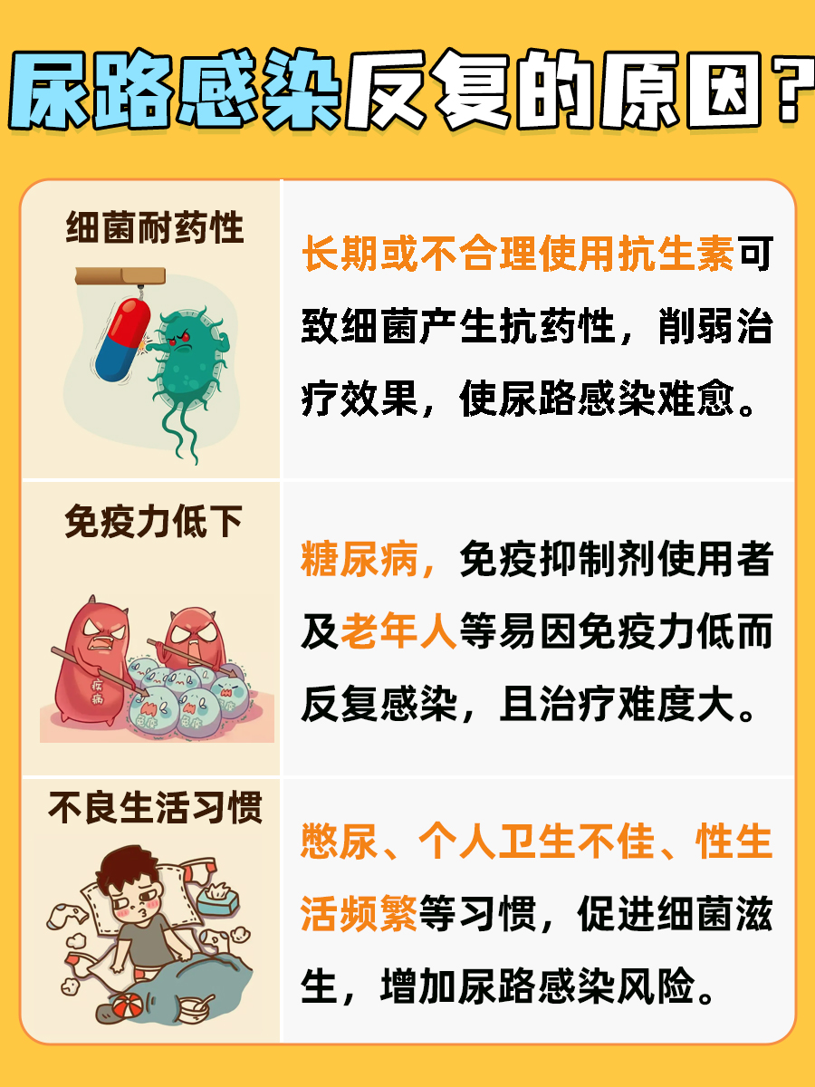 解析：尿路感染反复发作原因与治疗