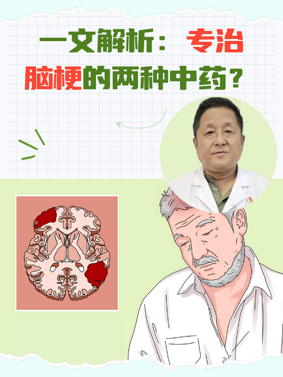 一文解析：专治脑梗的两种中药？