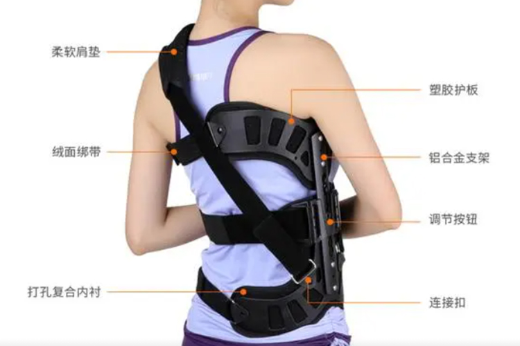 脊柱胸椎支具矫形器图