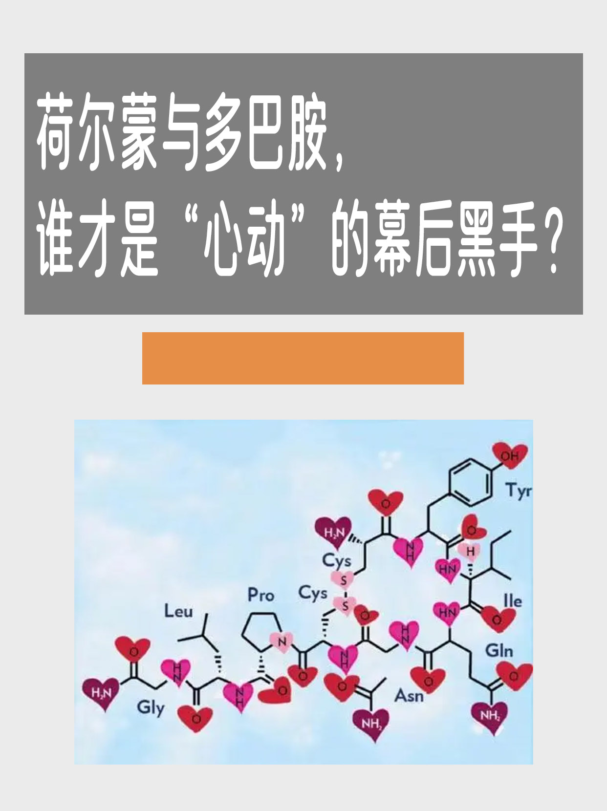 荷尔蒙与多巴胺,谁才是“心动”的幕后黑手?