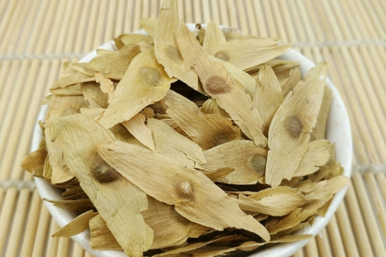 凤眼草图 凤眼草图