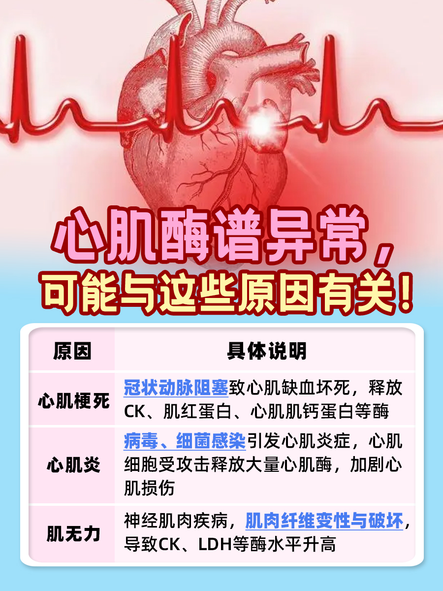 心肌酶谱异常是什么意思？一文解析