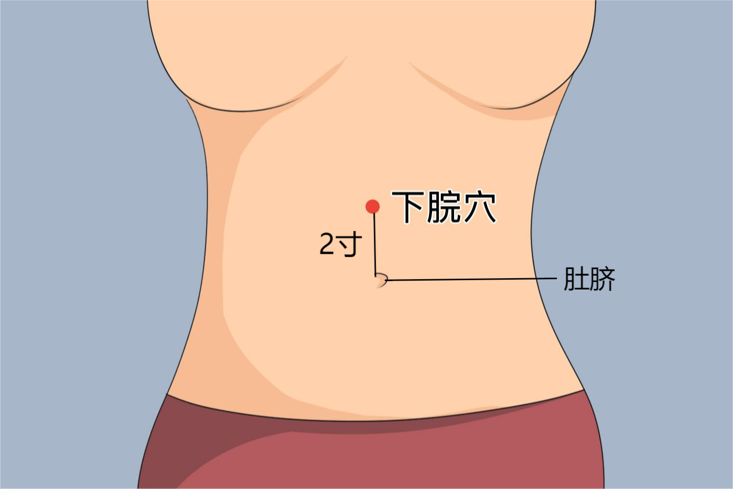 下脘穴位置图