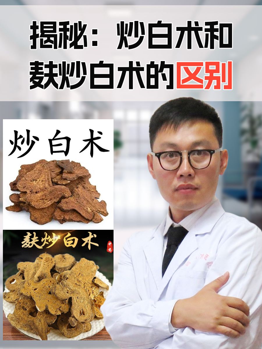 揭秘：炒白术和麸炒白术的区别