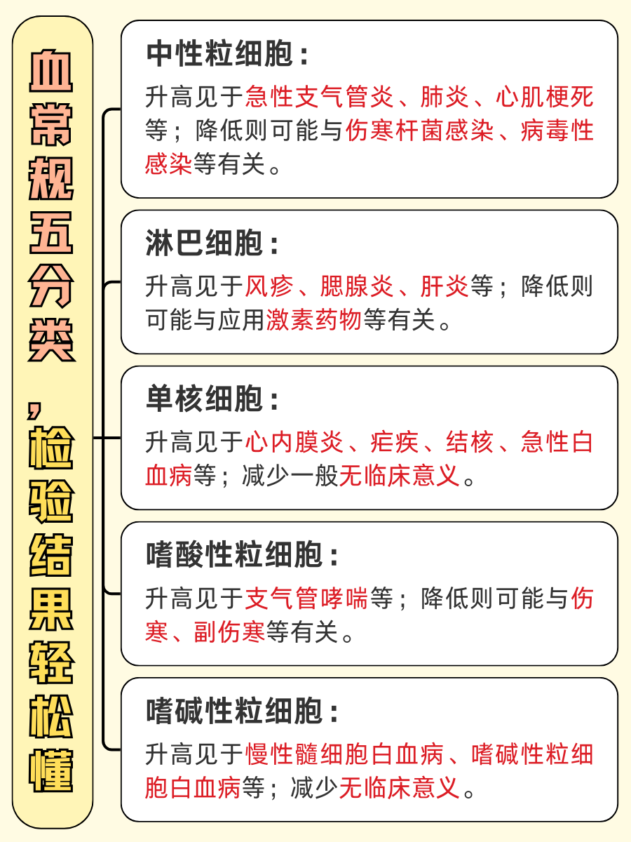 血常规五分类报告，小白也能秒懂