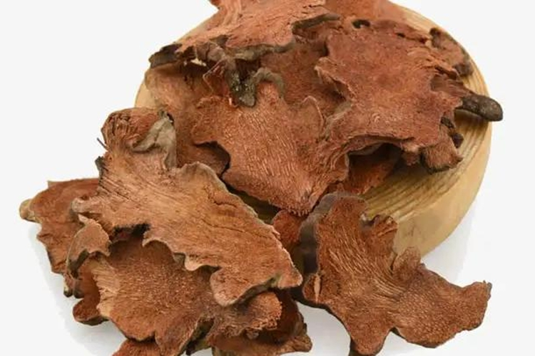 菝葜药材外观图